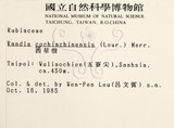 中文名：茜草樹英文名：Cochinchina Randia學名：Randia cochinchinensis (Lour.) Merr
