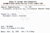 中文名：披針葉饅頭果英文名：Lanceolate-leaved Glochidion學名：Glochidion zeylanicum (Gaertn.) A. Juss. var. lanceolatum (Hayata) M. J. Deng & J. C. Wang