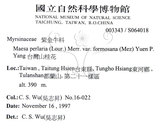 中文名：台灣山桂花英文名：Taiwan Maesa學名：Maesa perlaria (Lour.) Merr. var. formosana (Mez) Yuen P. Yang