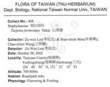 中文名：山香圓英文名：Formosam turpinia學名：Turpinia formosana Nakai