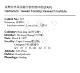 中文名：九節木中文別名：牛屎烏青龍吐霧英文名：Wild Coffee學名：Psychotria rubra (Lour.) Poir