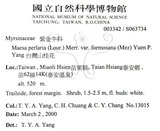 中文名：台灣山桂花英文名：Taiwan Maesa學名：Maesa perlaria (Lour.) Merr. var. formosana (Mez) Yuen P. Yang