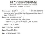 中文名：台灣山桂花英文名：Taiwan Maesa學名：Maesa perlaria (Lour.) Merr. var. formosana (Mez) Yuen P. Yang