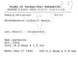 中文名：金毛杜鵑英文名：Oldham s Thododendron學名：Rhododendron oldhamii Maxim