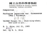 中文名：臺灣山菊學名：Farfugium japonicum (L.) Kitam. var. formosanum (Hayata) Kitamura