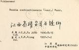 中文名：茜草樹英文名：Cochinchina Randia學名：Randia cochinchinensis (Lour.) Merr