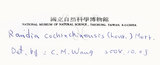 中文名：茜草樹英文名：Cochinchina Randia學名：Randia cochinchinensis (Lour.) Merr