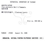 中文名：烏來冬青英文名：Urai holly學名：Ilex uraiensis Mori & Yamamoto