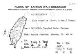 中文名：燈稱花中文別名：烏雞骨英文名：Rough-leaved holly學名：Ilex asprella (Hook. & Arn.) Champ