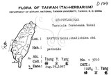 中文名：山香圓英文名：Formosam turpinia學名：Turpinia formosana Nakai