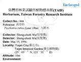 中文名：九節木中文別名：牛屎烏青龍吐霧英文名：Wild Coffee學名：Psychotria rubra (Lour.) Poir