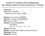 中文名：山香圓英文名：Formosam turpinia學名：Turpinia formosana Nakai