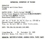 中文名：山紅柿英文名：Morris Persimmon學名：Diospyros morrisiana Hance