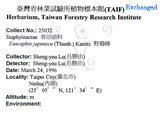 中文名：野鴉椿英文名：Japanese euscaphis學名：Euscaphis japonica (Thunb.) Kanitz