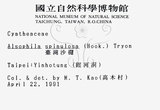 中文名：台灣桫欏英文名：Taiwan Tree-fern學名：Cyathea spinulosa