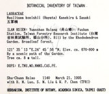 中文名：五掌楠英文名：Konishi Neolitsea學名：Neolitsea konishii (Hayata) Kanehira & Sasaki