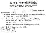 中文名：披針葉饅頭果英文名：Lanceolate-leaved Glochidion學名：Glochidion zeylanicum (Gaertn.) A. Juss. var. lanceolatum (Hayata) M. J. Deng & J. C. Wang