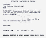 中文名：風藤英文名：Pepper學名：Piper kadsura (Choisy) Ohwi