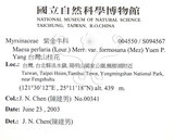 中文名：台灣山桂花英文名：Taiwan Maesa學名：Maesa perlaria (Lour.) Merr. var. formosana (Mez) Yuen P. Yang