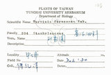 中文名：山香圓英文名：Formosam turpinia學名：Turpinia formosana Nakai