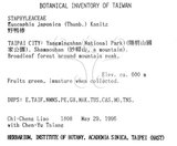 中文名：野鴉椿英文名：Japanese euscaphis學名：Euscaphis japonica (Thunb.) Kanitz