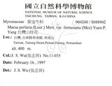 中文名：台灣山桂花英文名：Taiwan Maesa學名：Maesa perlaria (Lour.) Merr. var. formosana (Mez) Yuen P. Yang