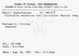 中文名：披針葉饅頭果英文名：Lanceolate-leaved Glochidion學名：Glochidion zeylanicum (Gaertn.) A. Juss. var. lanceolatum (Hayata) M. J. Deng & J. C. Wang