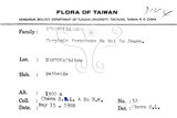 中文名：山香圓英文名：Formosam turpinia學名：Turpinia formosana Nakai