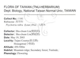 中文名：九節木中文別名：牛屎烏青龍吐霧英文名：Wild Coffee學名：Psychotria rubra (Lour.) Poir