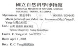 中文名：台灣山桂花英文名：Taiwan Maesa學名：Maesa perlaria (Lour.) Merr. var. formosana (Mez) Yuen P. Yang