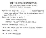 中文名：台灣山桂花英文名：Taiwan Maesa學名：Maesa perlaria (Lour.) Merr. var. formosana (Mez) Yuen P. Yang