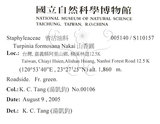 中文名：山香圓英文名：Formosam turpinia學名：Turpinia formosana Nakai