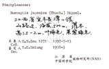 中文名：野鴉椿學名：Euscaphis japonica (Thunb.) Dippel