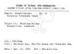 中文名：山香圓英文名：Formosam turpinia學名：Turpinia formosana Nakai