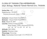 中文名：山香圓英文名：Formosam turpinia學名：Turpinia formosana Nakai