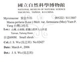 中文名：台灣山桂花英文名：Taiwan Maesa學名：Maesa perlaria (Lour.) Merr. var. formosana (Mez) Yuen P. Yang