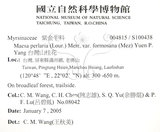 中文名：台灣山桂花英文名：Taiwan Maesa學名：Maesa perlaria (Lour.) Merr. var. formosana (Mez) Yuen P. Yang