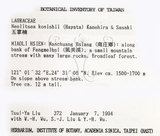 中文名：五掌楠英文名：Konishi Neolitsea學名：Neolitsea konishii (Hayata) Kanehira & Sasaki