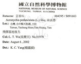 中文名：降真香英文名：Acronychia學名：Acronychia pedunculata (L.) Miq