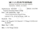 中文名：山香圓英文名：Formosam turpinia學名：Turpinia formosana Nakai