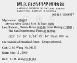 中文名：楊梅英文名：Chinese Babyberry學名：Myrica rubra (Lour.) Sieb. & Zucc