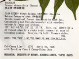 中文名：墨點櫻桃中文別名：黑星櫻英文名：Dark-spotted Cherry學名：Prunus phaeosticta (Hance) Maxim