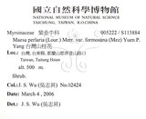 中文名：台灣山桂花英文名：Taiwan Maesa學名：Maesa perlaria (Lour.) Merr. var. formosana (Mez) Yuen P. Yang