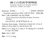 中文名：九節木中文別名：牛屎烏青龍吐霧英文名：Wild Coffee學名：Psychotria rubra (Lour.) Poir