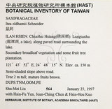 中文名：鼠刺英文名：Formosan Sweetspire學名：Itea oldhamii Schneider