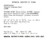 中文名：山香圓英文名：Formosam turpinia學名：Turpinia formosana Nakai