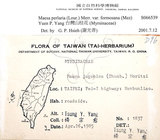 中文名：台灣山桂花英文名：Taiwan Maesa學名：Maesa perlaria (Lour.) Merr. var. formosana (Mez) Yuen P. Yang