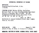 中文名：小葉赤楠英文名：Boxleaf Eugenia學名：Syzygium buxifolium Hook. & Arn