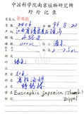 中文名：野鴉椿學名：Euscaphis japonica (Thunb.) Dippel