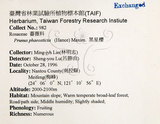 中文名：墨點櫻桃中文別名：黑星櫻英文名：Dark-spotted Cherry學名：Prunus phaeosticta (Hance) Maxim